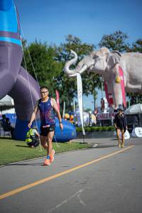 BIB: 
                            <button type="button" onclick="openModal(26542455)" class="btn btn-primary btn-sm float-right btn-popup" data-toggle="modal" data-target=".modal-high-quality">
                        <i class="fas fa-shopping-cart"></i> Add to Cart
                    </button>
                                            <button type="button" onclick="isThisMe(26542455, true)" class="btn btn-success btn-sm float-right btn-popup btn-isme hidden" data-toggle="tooltip" data-placement="bottom" title="นี่คือรูปของคุณใช่ไหม คลิกที่นี่เพื่อเอาเข้าอัลบั้ม">
                        <i class="fas fa-plus"></i> Add to album
                    </button>
                    <button type="button" onclick="isThisMe(26542455, false)" class="btn btn-warning btn-sm float-right btn-popup btn-isnotme hidden">
                        <i class="fas fa-ban"></i> Remove from album
                    </button>